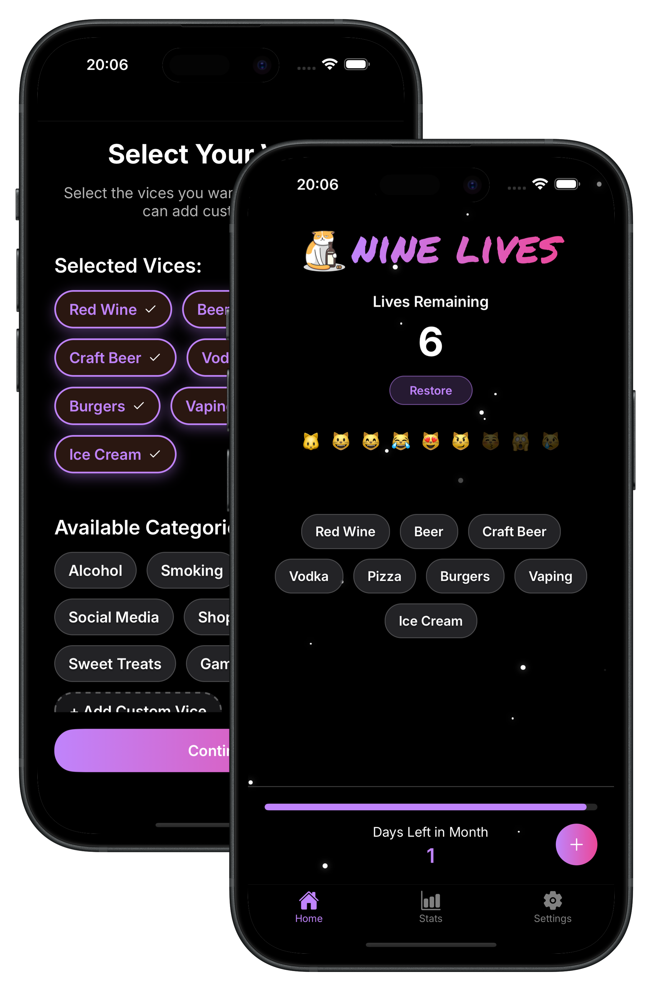 Nine Lives app screenshot showing 9-lives progress tracker
